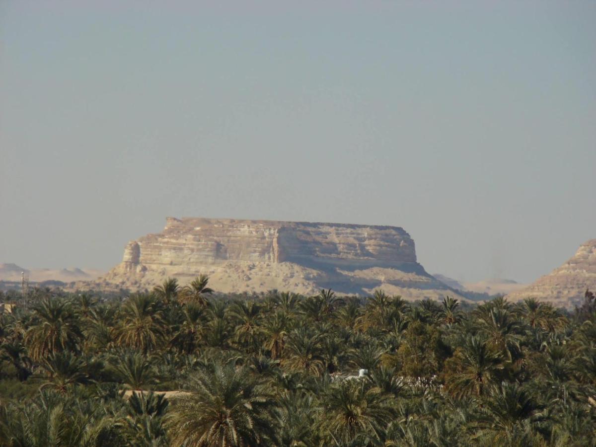 Siwa Paradise Siwa Oasis Exterior foto